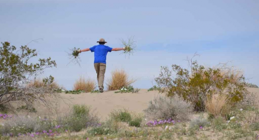 gap year service learning trip in joshua tree